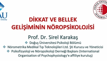 Dikkat ve Bellek Gelişiminin Nöropsikolojisi