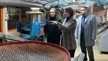 Rizede Çayın Yapım Demosu