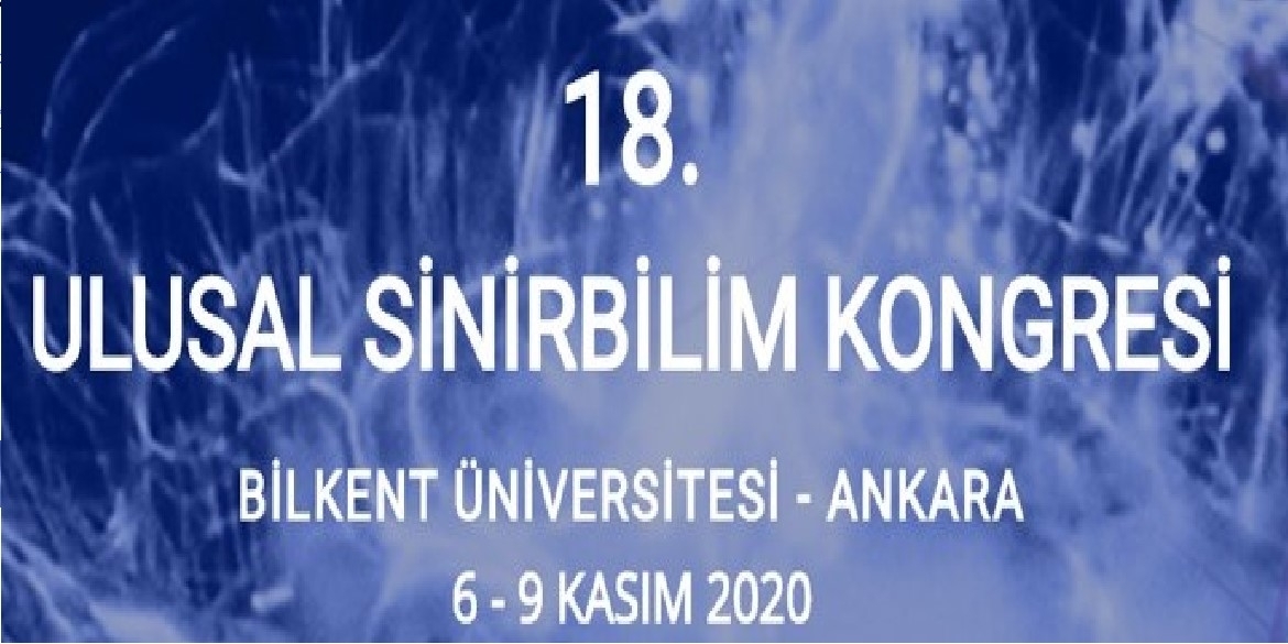 Teta Salınımı, Beyindeki Teta Sistemi, Bilgi İşlemleme İle İlişkiler