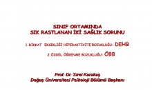 4. PDR Günleri
