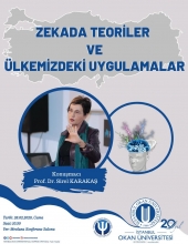 Zekada Teoriler ve Ülkemizdeki Uygulamalar