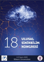 Teta Salınımı, Beyindeki Teta Sistemi, Bilgi İşlemleme İle İlişkiler